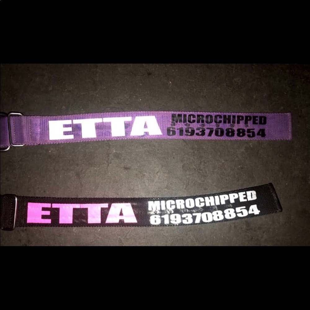 Custom Dog Collars! - Picture 8 of 8